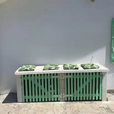 Simpatia Nyaraló *